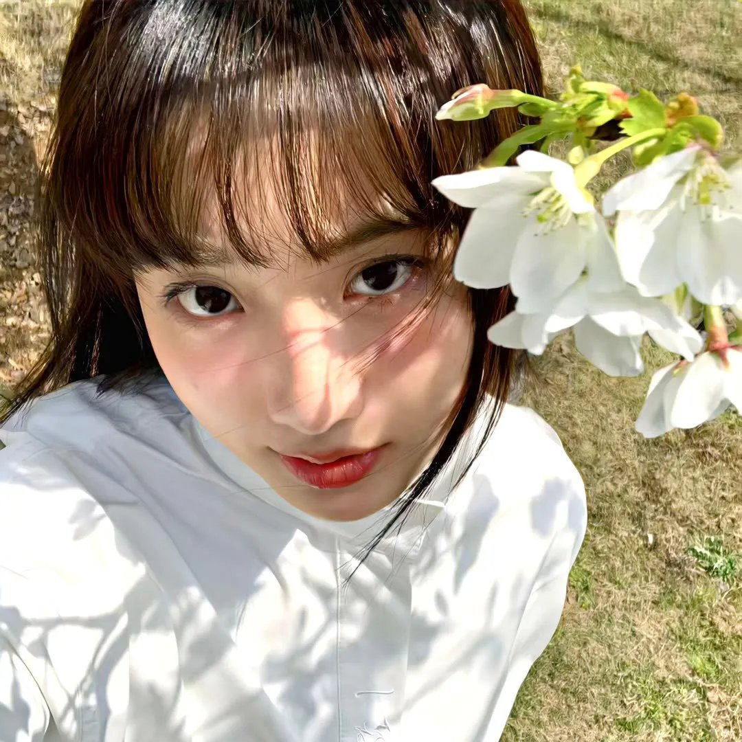 极品桃花运